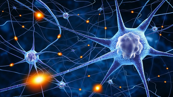 Fig. 2 - Un neurone, con un impulso nervoso che sta viaggiando nel suo assone. In un corpo umano, esistono 100 miliardi di neuroni, quasi come tutte le stelle della Via Lattea. Crediti: web.