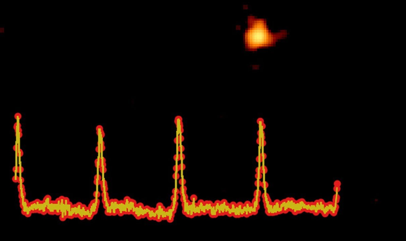 Fig. 3 - La curva di luce della sorgente dove sono ben visibili i picchi distanziati da circa nove ore ciascuno - Crediti G. Miniutti
