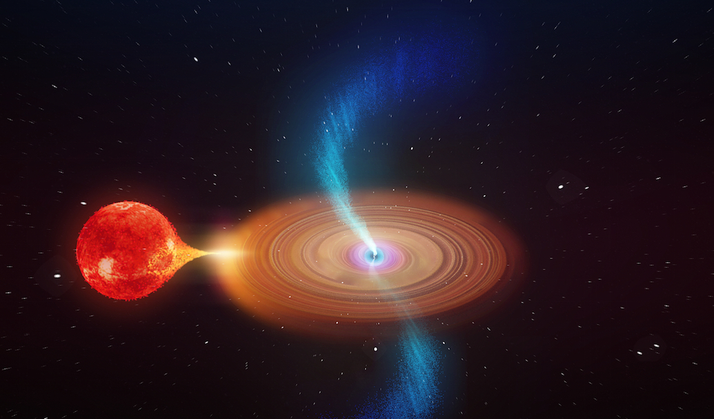 Fig. 1 - Rappresentazione artistica del sistema binario V404 Cygni, che consiste in una normale stella in orbita attorno a un buco nero. Il materiale della stella cade verso il buco nero e si muove verso l'interno in un disco di accrescimento, con potenti getti lanciati dalle regioni interne vicino al buco nero. Crediti: Icrar.