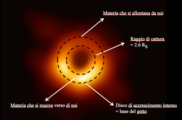 Fig. 5 - Ecco a cosa corrisponde la foto del buco nero di M87. La macchia nera centrale corrisponde al “raggio di cattura” della luce. La parte più luminosa in basso corrisponde a materia in moto verso di noi, la parte meno luminosa dell’anello corrisponde a materia che si allontana - Crediti: The Event Horizon Telescope e Gabriele Ghisellini.