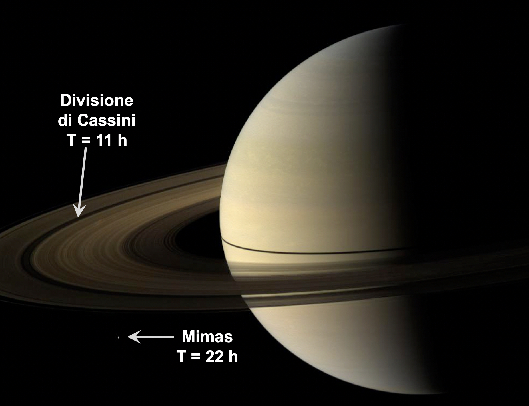 Fig. 3 - La divisione di Cassini negli anelli di Saturno è causata da una risonanza di periodo orbitale 1:2 con il suo satellite Mimas - Crediti: NASA - NASA/JPL-Caltech/ Space Science Institute, immagine di pubblico dominio.