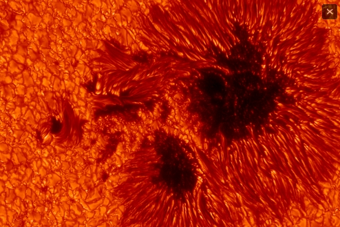 Fig. 1 - Macchie solari riprese dallo Swedish Solar Telescope all’Osservatorio Roque de los Muchachos di La Palma, Spagna - Crediti: Swedish Solar Telescope.