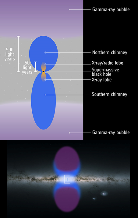 Fig. 5.  Visione d’insieme, schematica, delle bolle di raggi gamma e di quelle di raggi X. Come si vede nella immagine sopra, le bolle X sono all’inizio delle bolle gamma, come fossero degli ugelli da cui esce il gas che va ad alimentare le bolle gamma. Da notare la differente grandezza delle strutture X e gamma: queste ultime sono piu’ di 100 volte più grandi: sono le strutture in violetto che si vedono meglio nella figura sotto - Crediti: Copyright ESA/XMM-Newton/G. Ponti et al. 2019; ESA/Gaia/DPAC (Milky Way map), CC BY-SA 3.0 IGO.