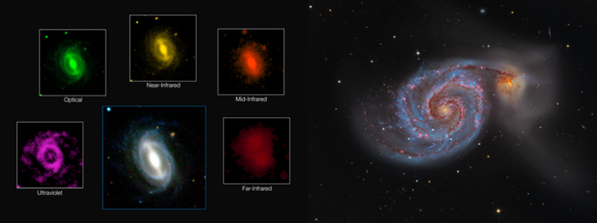 Fig. 3 - A sinistra: Le immagini in diversi filtri della medesima galassia, ottenuta dal gruppo GAMA, acronimo di Galaxy And Mass Assembly survey. Studiando più di 200.000 galassie in 21 filtri, i ricercatori di GAMA sono riusciti a stabilire che l’Universo attuale produce circa il 40 per cento di luce in meno di due miliardi di anni fa. A destra: Le due galassie che formano M51 stanno interagendo. Le zone blu della galassia più grande indicano stelle giovani e calde, mentre il colore giallo-rossastro della galassia più piccola indica una popolazione stellare più vecchia - Crediti: Wikipedia.