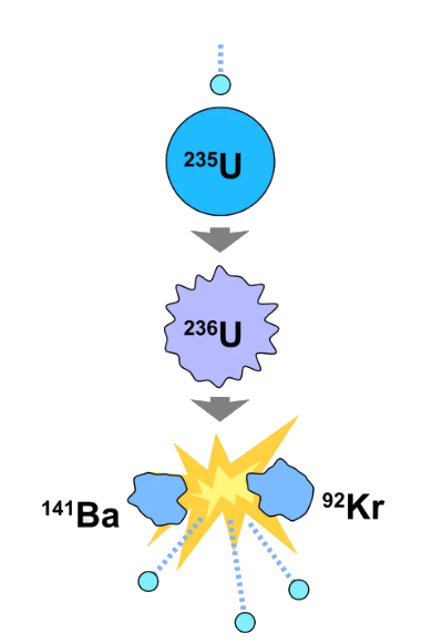 Fig. 5 - La fissione dell’uranio 235 in due nuclei: il Bario 141 e il kripton 96, più 3 neutroni. Crediti Wikipedia. 