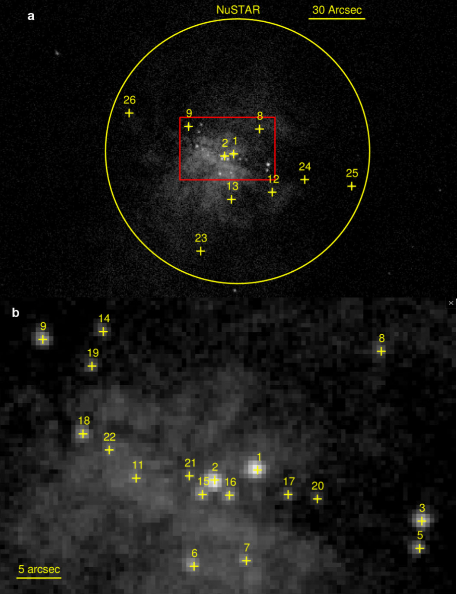 Fig. 4 - Immagine della regione centrale della galassia M82 . All’interno di questa regione, 24 fonti puntuali di raggi X, tra cui X-1 (ULX prodotta da un buco nero di 400 masse solari) e X-2 (ULX prodotta da una stella di neutroni). Il pannello b mostra una vista allargata della regione centrale. Le croci gialle indicano le posizioni delle sorgenti puntiformi identificate - Crediti: Nature 514, 202 (2014). doi:10.1038/nature13791.