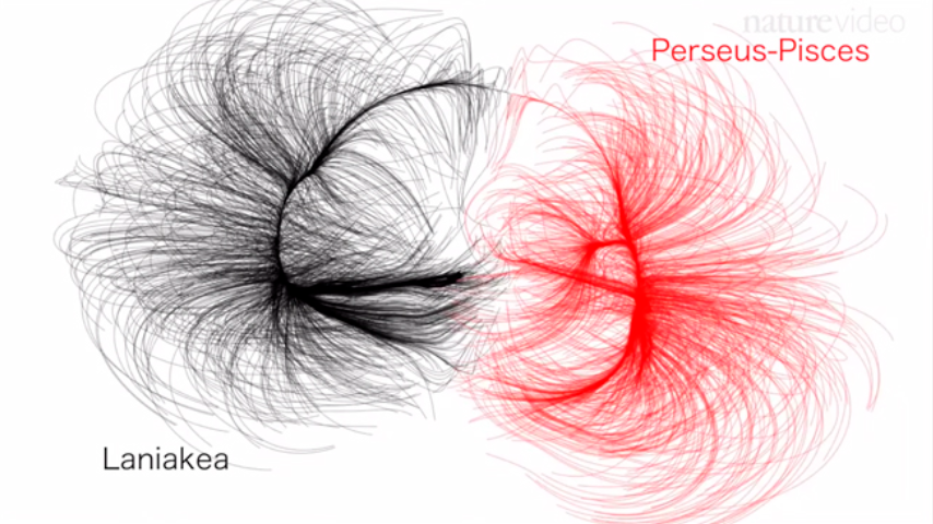 Fig. 5 - Laniakea assieme al super-ammasso di Perseo-Pesci, un nostro vicino. Le linee rosse e nere indicano gli spazi di influenza dei due super-ammassi: le galassie lungo le linee rosse sentono l’attrazione di Perseo-Pesci, mentre quelle lungo le linee nere sentono l’influenza del nostro super-ammasso (il grande Attrattore, come viene chiamato). La Via Lattea giace quasi al confine tra le due regioni. è questa la novità: dividere i super-ammassi in zone d’influenza, usando le velocità relative delle galassie come traccianti dei bacini idrografici che le attirano - Crediti Nature.