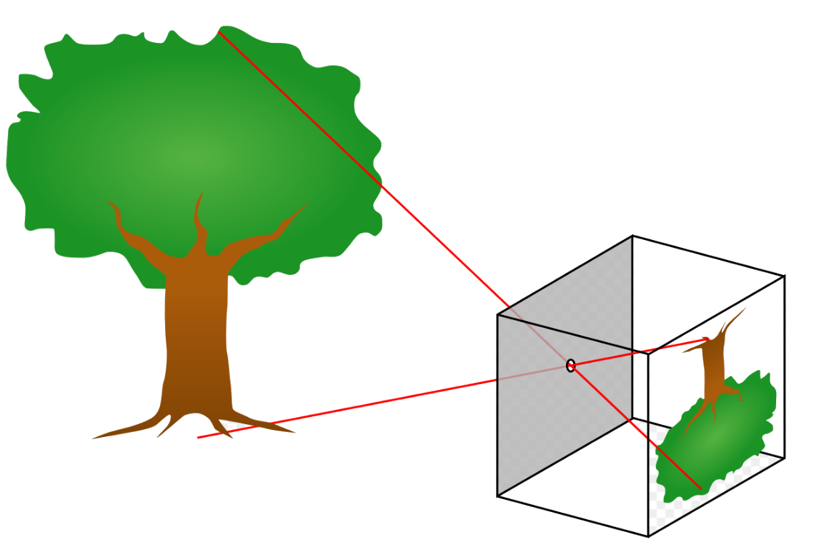 Fig. 2 - Disegno di una scatola con foro stenopeico e di come viene ricostruita l’immagine - Crediti:  Wikipedia.