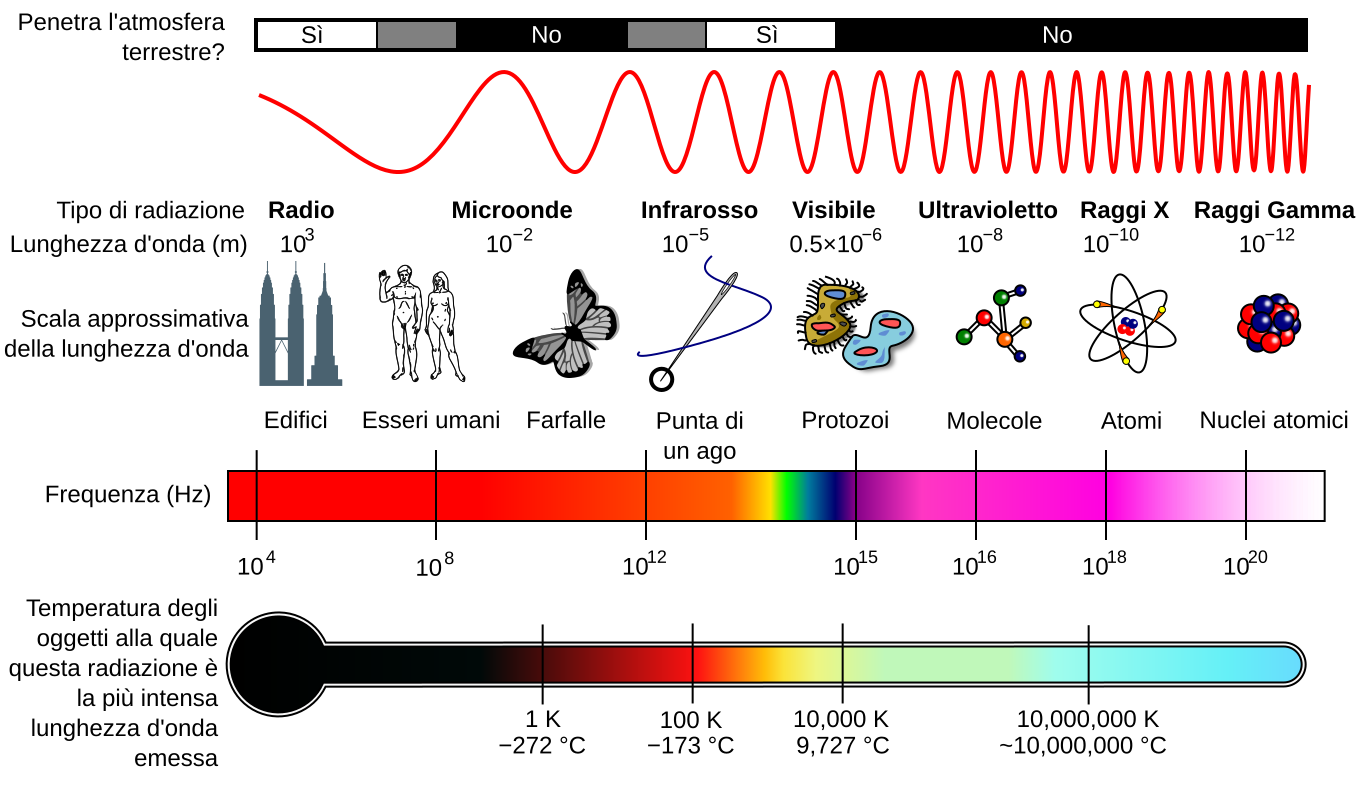 Fig. 2 - Lo spettro elettromagnetico (adattamento di un’immagine NASA, di pubblico dominio). I raggi X si trovano verso la porzione più energetica dello spettro e di lunghezza d’onda inferiore.