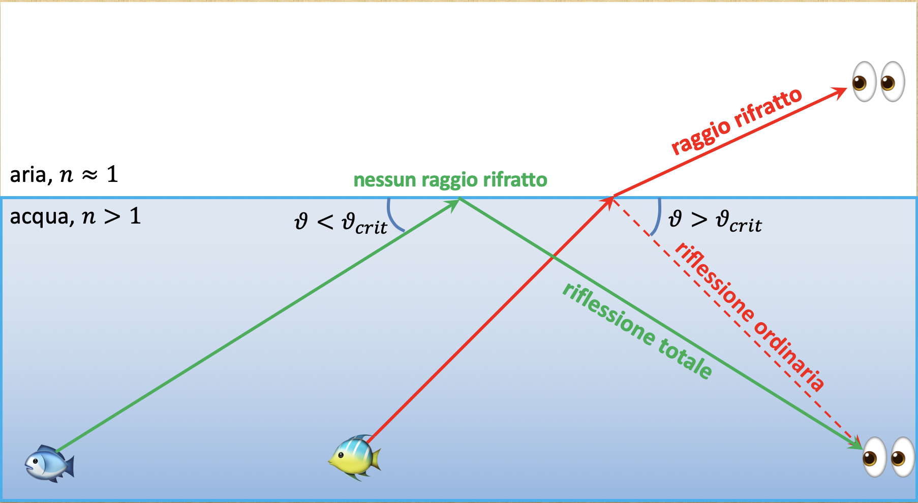 Fig. 8 - Il fenomeno della riflessione totale si verifica quando la luce proveniente dalla sorgente di luce sott’acqua incide sulla superficie di separazione con l’aria, che ha un indice di rifrazione inferiore, ad un angolo inferiore a quello critico, che per la coppia acqua-aria vale 41° circa - Crediti: Daniele Spiga.