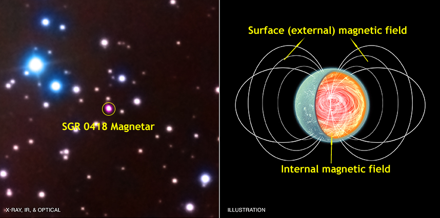 Fig. 2 - A sinistra: sovrapposizione di dati X, ottici e infrarossi (in rosso, verde e blu). Al centro in rosa la magnetar SGR 0418+5729. - A destra: immagine artistica della magnetar dove si evidenzia il campo magnetico esterno debole e il campo magnetico interno forte. Crediti Chandra Photo Album