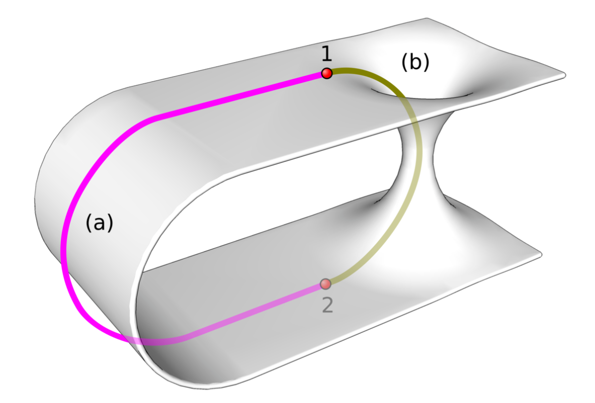 Fig. 3 - Ponte di Einstein Rosen: i due punti 1 e 2 potrebbero essere molto lontani, ma la curvatura estrema dello spazio potrebbe avvicinarli. In linea di principio non ci sarebbero limiti a quanto vicini potrebbero diventare - Crediti: Wikipedia.